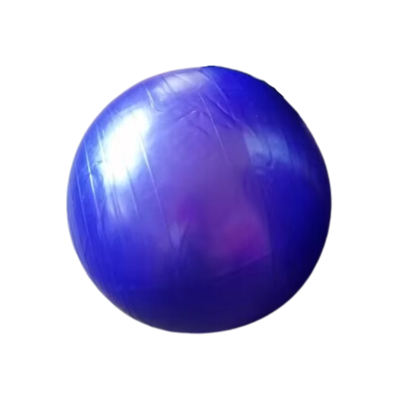 NNEOBA Thickened PVC Fitness Yoga Ball